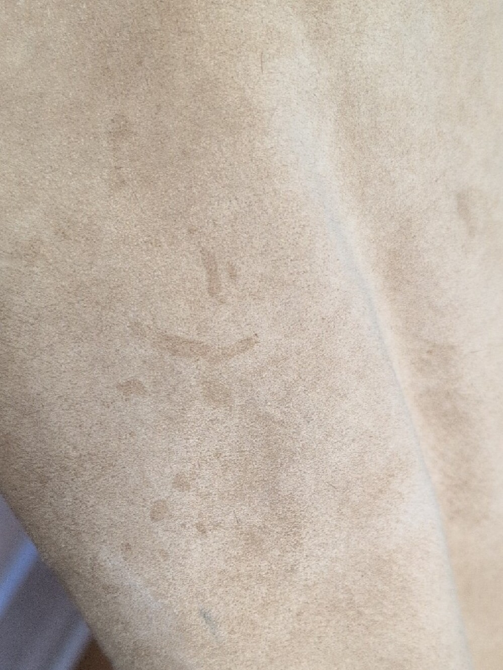 SONOMA Tan Suede Teddy Jacket with Cream Faux Shearling - Picture 6 of 10